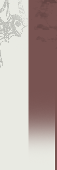sidebar